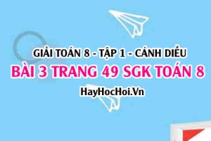 Giải bài 3 trang 49 Toán 8 Tập 1 SGK Cánh Diều